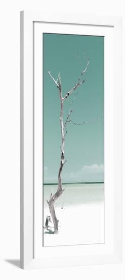 Cuba Fuerte Collection Panoramic - Solitary Tree - Pastel Coral Green-Philippe Hugonnard-Framed Photographic Print