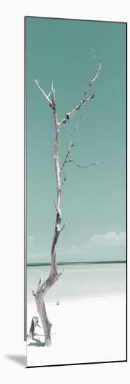 Cuba Fuerte Collection Panoramic - Solitary Tree - Pastel Coral Green-Philippe Hugonnard-Mounted Photographic Print