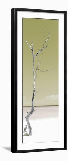 Cuba Fuerte Collection Panoramic - Solitary Tree - Pastel Lime Green-Philippe Hugonnard-Framed Photographic Print