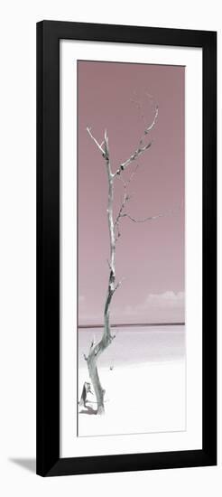 Cuba Fuerte Collection Panoramic - Solitary Tree - Pastel Red-Philippe Hugonnard-Framed Photographic Print