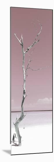 Cuba Fuerte Collection Panoramic - Solitary Tree - Pastel Red-Philippe Hugonnard-Mounted Photographic Print