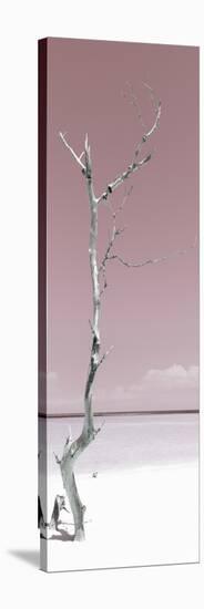 Cuba Fuerte Collection Panoramic - Solitary Tree - Pastel Red-Philippe Hugonnard-Stretched Canvas