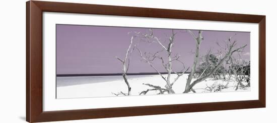 Cuba Fuerte Collection Panoramic - Tropical Beach Nature - Pastel Purple-Philippe Hugonnard-Framed Photographic Print