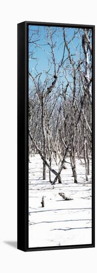 Cuba Fuerte Collection Panoramic - White Forest-Philippe Hugonnard-Framed Stretched Canvas