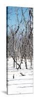 Cuba Fuerte Collection Panoramic - White Forest-Philippe Hugonnard-Stretched Canvas