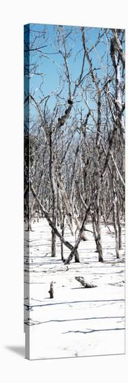 Cuba Fuerte Collection Panoramic - White Forest-Philippe Hugonnard-Stretched Canvas