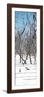 Cuba Fuerte Collection Panoramic - White Forest-Philippe Hugonnard-Framed Photographic Print