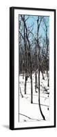 Cuba Fuerte Collection Panoramic - White Forest-Philippe Hugonnard-Framed Photographic Print