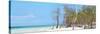 Cuba Fuerte Collection Panoramic - White Sand Beach-Philippe Hugonnard-Stretched Canvas