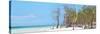 Cuba Fuerte Collection Panoramic - White Sand Beach-Philippe Hugonnard-Stretched Canvas