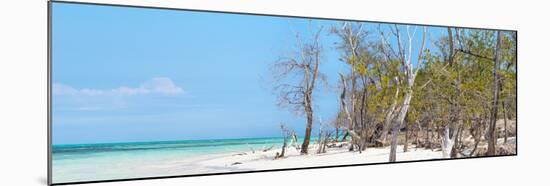 Cuba Fuerte Collection Panoramic - White Sand Beach-Philippe Hugonnard-Mounted Photographic Print