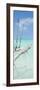 Cuba Fuerte Collection Panoramic - White Trees-Philippe Hugonnard-Framed Photographic Print