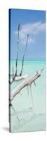 Cuba Fuerte Collection Panoramic - White Trees-Philippe Hugonnard-Stretched Canvas