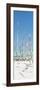 Cuba Fuerte Collection Panoramic - Wild White Sand Beach-Philippe Hugonnard-Framed Photographic Print
