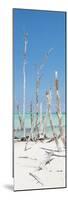 Cuba Fuerte Collection Panoramic - Wild White Sand Beach-Philippe Hugonnard-Mounted Photographic Print