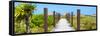 Cuba Fuerte Collection Panoramic - Wooden Jetty on the Beach-Philippe Hugonnard-Framed Stretched Canvas