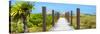 Cuba Fuerte Collection Panoramic - Wooden Jetty on the Beach-Philippe Hugonnard-Stretched Canvas