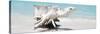 Cuba Fuerte Collection Panoramic - Wooden Turtle on the Beach-Philippe Hugonnard-Stretched Canvas