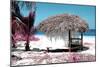 Cuba Fuerte Collection - Pink Beach-Philippe Hugonnard-Mounted Photographic Print