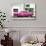 Cuba Fuerte Collection - Pink Pontiac 1953 Original Classic Car-Philippe Hugonnard-Photographic Print displayed on a wall