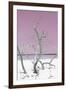 Cuba Fuerte Collection - Pink Stillness II-Philippe Hugonnard-Framed Photographic Print