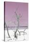 Cuba Fuerte Collection - Pink Stillness II-Philippe Hugonnard-Stretched Canvas