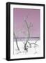 Cuba Fuerte Collection - Pink Stillness II-Philippe Hugonnard-Framed Photographic Print