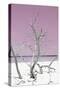 Cuba Fuerte Collection - Pink Stillness II-Philippe Hugonnard-Stretched Canvas