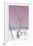 Cuba Fuerte Collection - Pink Stillness II-Philippe Hugonnard-Framed Photographic Print