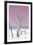 Cuba Fuerte Collection - Pink Stillness II-Philippe Hugonnard-Framed Photographic Print