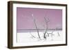 Cuba Fuerte Collection - Pink Stillness-Philippe Hugonnard-Framed Photographic Print