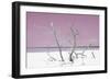 Cuba Fuerte Collection - Pink Stillness-Philippe Hugonnard-Framed Photographic Print