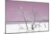 Cuba Fuerte Collection - Pink Stillness-Philippe Hugonnard-Mounted Photographic Print