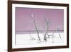 Cuba Fuerte Collection - Pink Stillness-Philippe Hugonnard-Framed Photographic Print