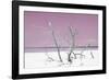 Cuba Fuerte Collection - Pink Stillness-Philippe Hugonnard-Framed Photographic Print