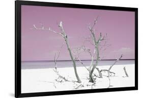 Cuba Fuerte Collection - Pink Stillness-Philippe Hugonnard-Framed Photographic Print