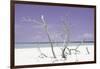 Cuba Fuerte Collection - Purple Stillness-Philippe Hugonnard-Framed Photographic Print