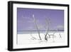 Cuba Fuerte Collection - Purple Stillness-Philippe Hugonnard-Framed Photographic Print