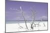 Cuba Fuerte Collection - Purple Stillness-Philippe Hugonnard-Mounted Photographic Print