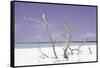 Cuba Fuerte Collection - Purple Stillness-Philippe Hugonnard-Framed Stretched Canvas