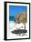 Cuba Fuerte Collection - Quiet Beach II-Philippe Hugonnard-Framed Photographic Print