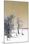 Cuba Fuerte Collection - Sandy Beach Pastel Dark Yellow II-Philippe Hugonnard-Mounted Photographic Print