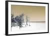 Cuba Fuerte Collection - Sandy Beach Pastel Dark Yellow-Philippe Hugonnard-Framed Photographic Print