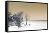 Cuba Fuerte Collection - Sandy Beach Pastel Dark Yellow-Philippe Hugonnard-Framed Stretched Canvas