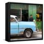 Cuba Fuerte Collection SQ - 305 Street Green Market-Philippe Hugonnard-Framed Stretched Canvas