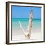 Cuba Fuerte Collection SQ - Alone on the Beach-Philippe Hugonnard-Framed Photographic Print