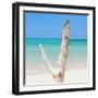 Cuba Fuerte Collection SQ - Alone on the Beach-Philippe Hugonnard-Framed Photographic Print