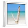Cuba Fuerte Collection SQ - Alone on the Beach-Philippe Hugonnard-Framed Photographic Print