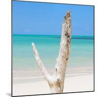 Cuba Fuerte Collection SQ - Alone on the Beach-Philippe Hugonnard-Mounted Photographic Print