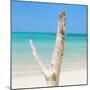 Cuba Fuerte Collection SQ - Alone on the Beach-Philippe Hugonnard-Mounted Photographic Print